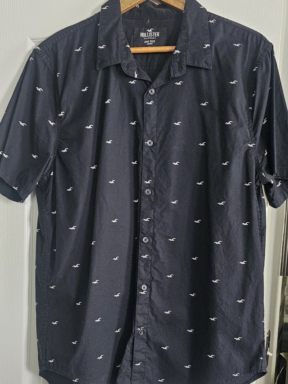 Hollister Black Short-Sleeve Button-Down with White Seagull Print